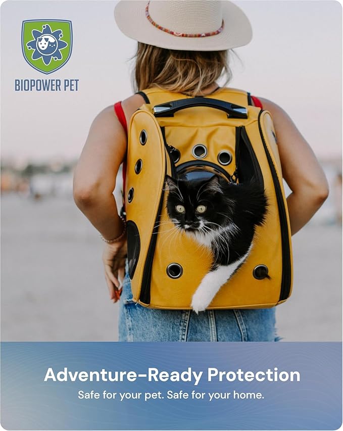 Natural Flea & Tick Repellent Collar Tag for Dogs & Cats – BioPower Pet Shield – Safe for Pets When Used as Directed – Lasts 1 Full Year - Regular Tag (2 Pack)
