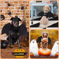Vivifying black felt dog bat wings Halloween costume with pumpkin bells - view 4