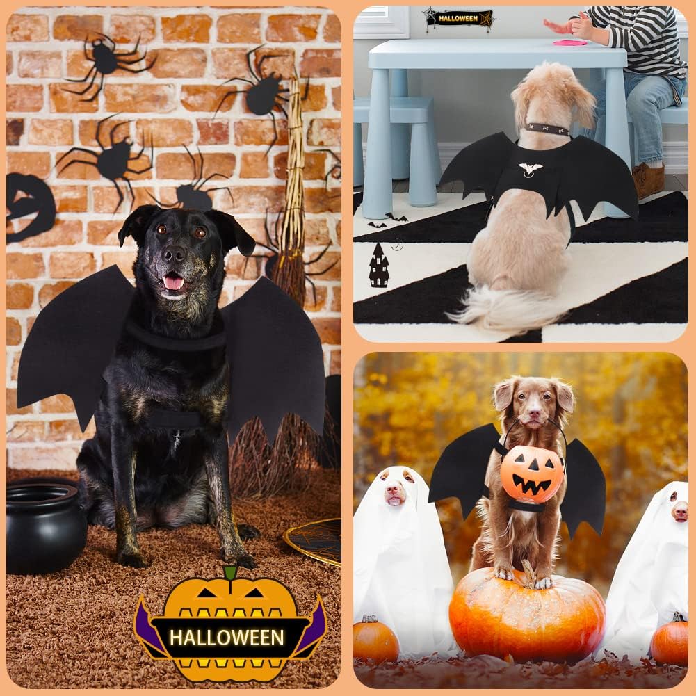 Vivifying black felt dog bat wings Halloween costume with pumpkin bells - view 4