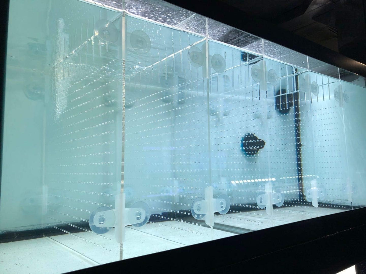 Acrylic Aquarium Divider Kit 5.5/10 / 20L / 20H / 29 / 40B / 55/75 / - 29gal Aqueon