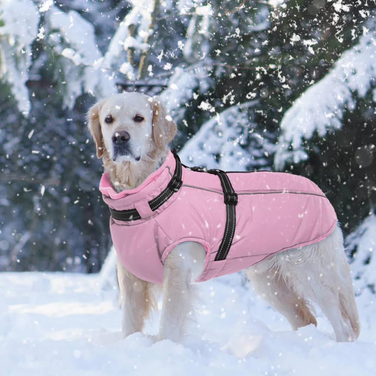 Dog Coat for Large Dogs Waterproof Dog Jacket with Harness Built in – Essentials for Dogs - XXX-Large / Pink - image 4