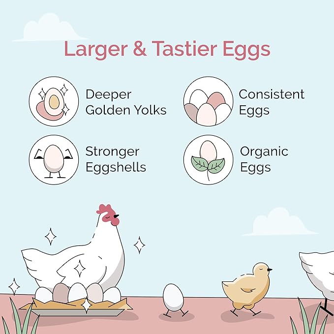 Organic Chicken Feed – Layer Mash, Non-GMO, USA Grown, 16% Protein, Corn-Free, Soy-Free, Non-Medicated Feed for Chickens, 23 lbs