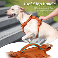 Sunraymascota No Pull Dog Harness for Medium Sized Dogs Puppy Vest - Carmel Brown / L(Neck:20.9-31.5", Chest:24.8-37.4") - image 4