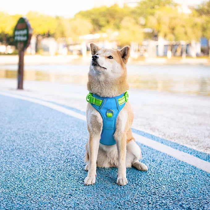 PHOEPET No Pull Dog Harness, Unique Colors Reflective Adjustable Dog Vest, with Soft Training Handle Metal Clips for Small Medium Large Dogs (Blue Base & Green Straps,XL)