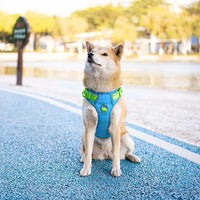 PHOEPET No Pull Dog Harness, Unique Colors Reflective Adjustable Dog Vest, with Soft Training Handle Metal Clips for Small Medium Large Dogs (Blue Base & Green Straps,S)