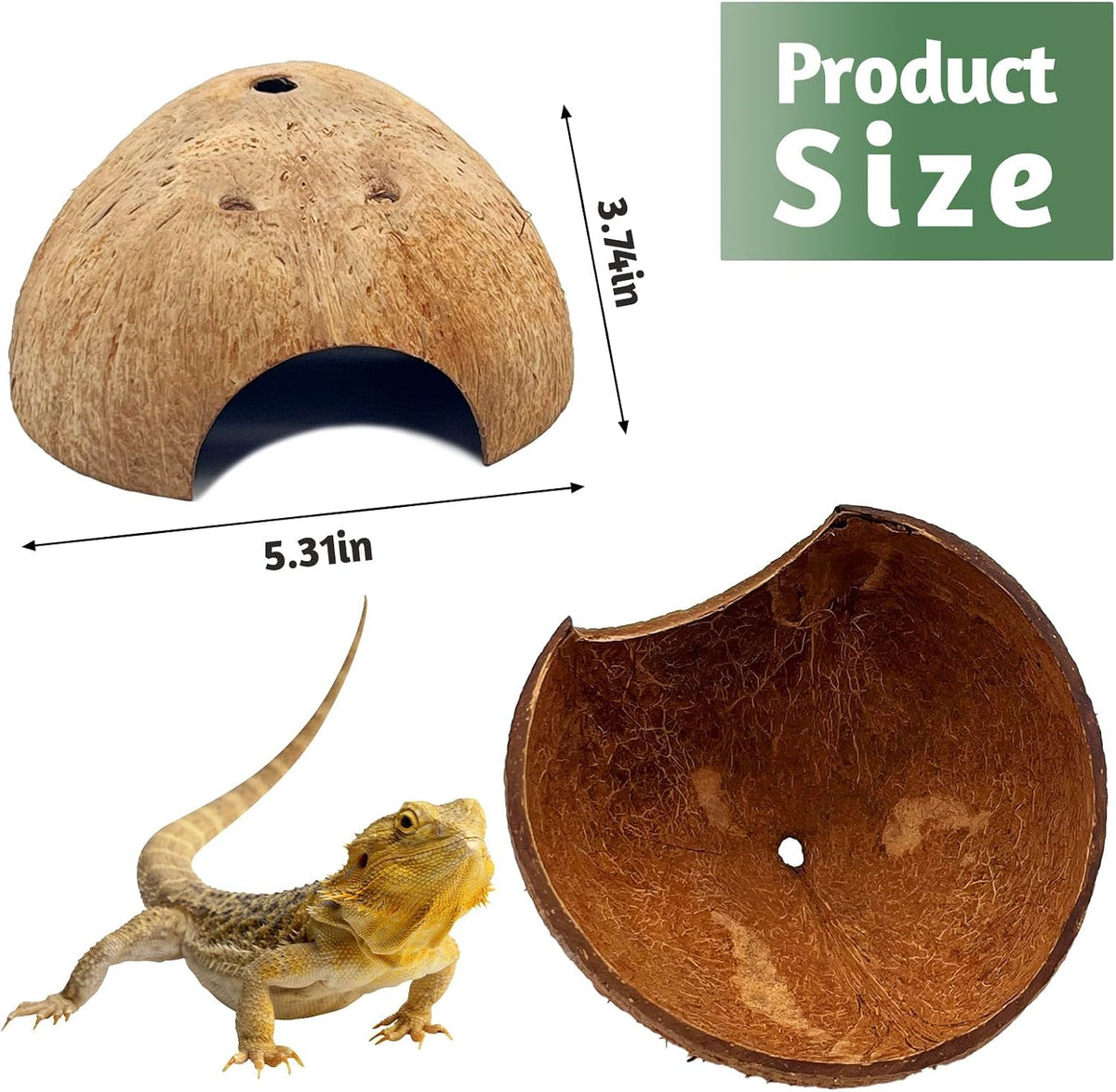 PINVNBY 2 PCS Natural Coconut Reptile Hideouts Lizard Coco Hut Hermit - Smooth Surface / 6 PCS - image 2
