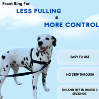 ShawnCo Dream Walk no-pull dog harness with front leash clip - view 4