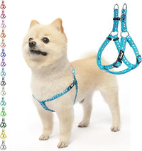 PUPTECK No Pull Dog Harness Soft Adjustable Basic Nylon Step in Puppy Vest Outdoor Walking with ID Tag, Moon Star Sky Blue, S