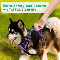 BARKBAY No Pull Dog Harness Large Step in Reflective Dog Harness with Front Clip and Easy Control Handle for Walking Training Running(Purple,L)