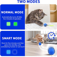 Interactive Cat Ball Toy with Feather - Blue - image 3