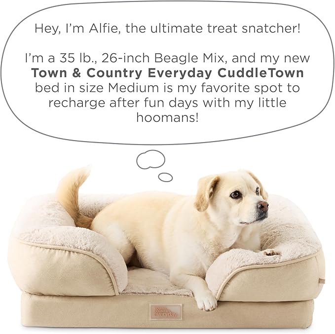 TOWN & COUNTRY EVERYDAY CuddleTown Comfy Solid Bolster Sofa Pet Bed, Supportive & Calming Egg Crate Foam, Non-Slip Bottom, Machine Washable Cover, Cream, Medium 28"x23"x8"