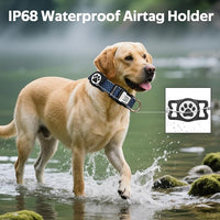 Dog Collar with Waterproof AirTag Holder & Anti-Lost QR Code, Cute Bling Warpping Adjustable Width for Small Medium Large Pet (Blue, M)
