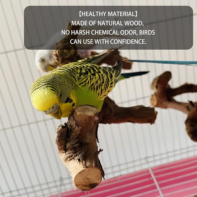 5PCS Bird Perch Stand Natural Wooden Parrot Stand Branch,3 Grape Wood Perch,2 Stand,Paw Grinding Fork Parakeet Chewing Stick Exercise Training Branches for Cockatiels,Small Medium Birds