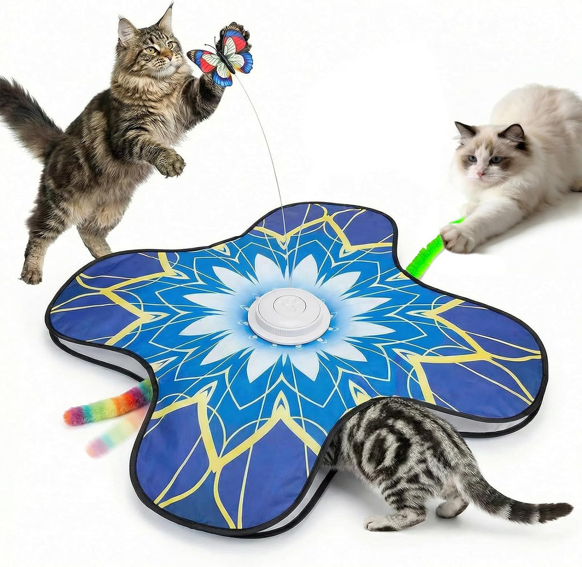 Interactive Cat Toys For Indoor Cats - Blue