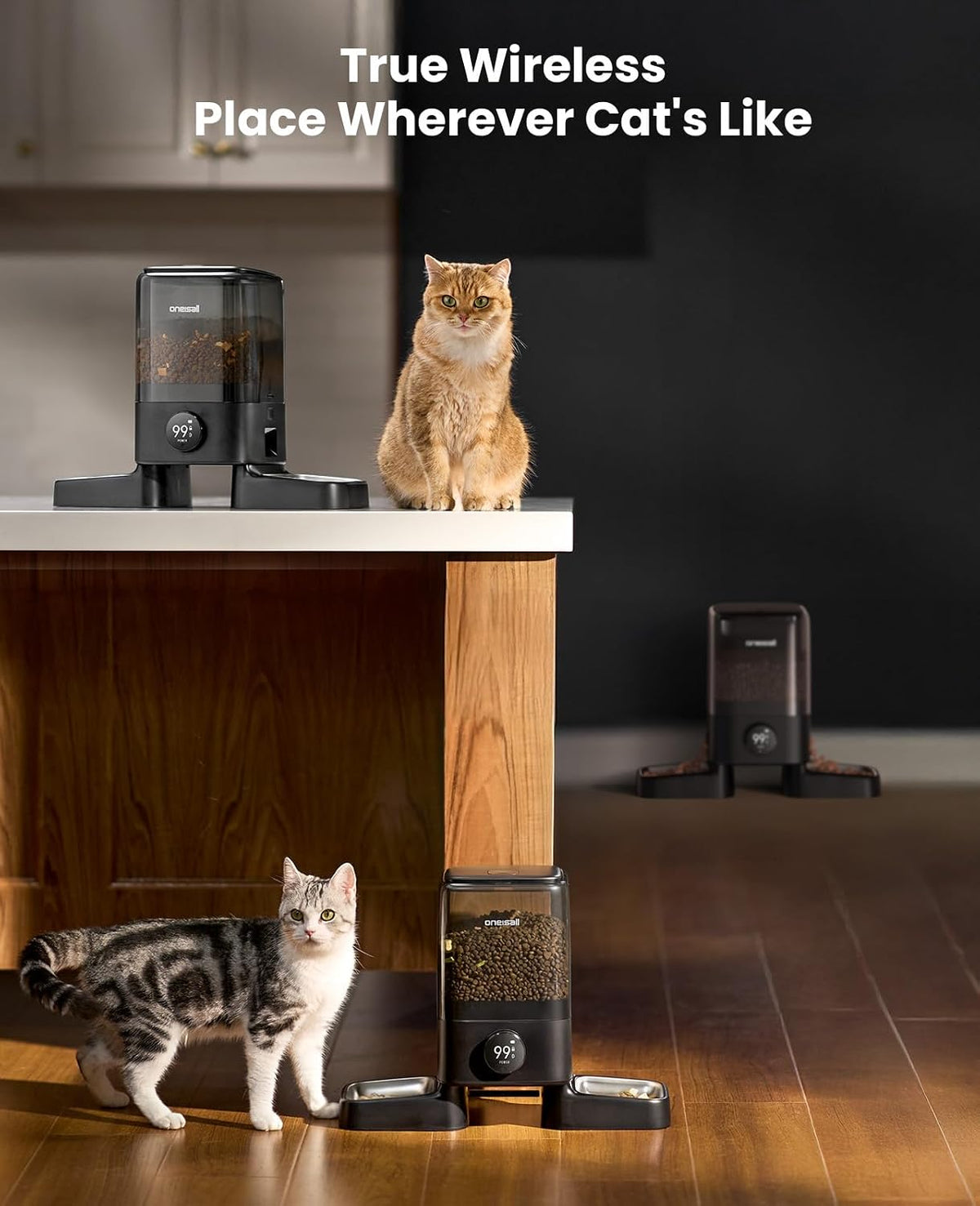 oneisall Automatic Cat Feeder for 2 Cats Pets, 20 Cups/5L – Essentials for Cats - Cordless WiFi - image 4
