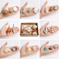 21PCS Hermit Crab Shells Medium Small 1.2"-3.9" Seashells - image 3