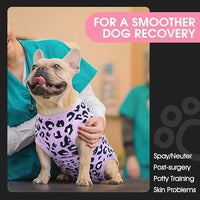 FUAMEY Recovery Suit for Dogs After Surgery,Soft Breathable Dog Bodysuit E-Collar & Cone Alternative Surgical Suit,Male Female Dog Neuter Spay Suits Anti Licking Wounds Onesie Purple Leopard S