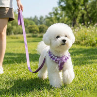 SuperBuddy Upgraded Soft Mesh Dog Harness - M (Neck Girth 13"; Chest Girth: 13"-18.5") / Purple-2 - image 2