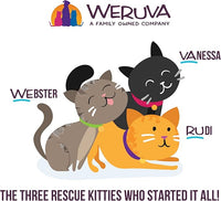 Weruva B.F.F. Play - Best Feline Friend Paté Lovers, Aw Yeah!, Salmon & Tuna Tuck Me in with Salmon & Tuna, 5.5oz Can (Pack of 8)