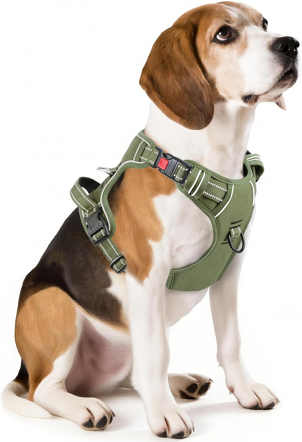 Timos Dog Harness, No Pull Large Sized with 3 Buckles - Medium / Lock Green