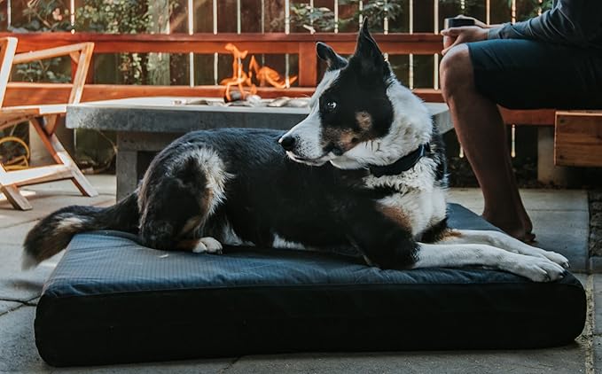 K9 Ballistics Tough Ripstop Orthopedic Rectangle Dog Bed Removable Washable Cover, Solid Orthopedic Foam for Size M Medium Dogs 33"x27", Obsidian Black