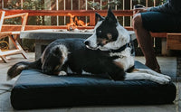 K9 Ballistics Tough Rip-Stop Orthopedic Rectangle Dog Bed Removable Washable Cover, Solid Orthopedic Foam for Size S Dogs 24"x18", Blue Quartz