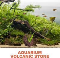 Housoutil Lava Rock Aquarium, 6PCS Aquarium Volcanic Stone Plant Fixer Ornaments, Double-Hole Fish Tank Rocks Ornament for Aquascaping, Fish Tank, Terrarium and Landscape Design