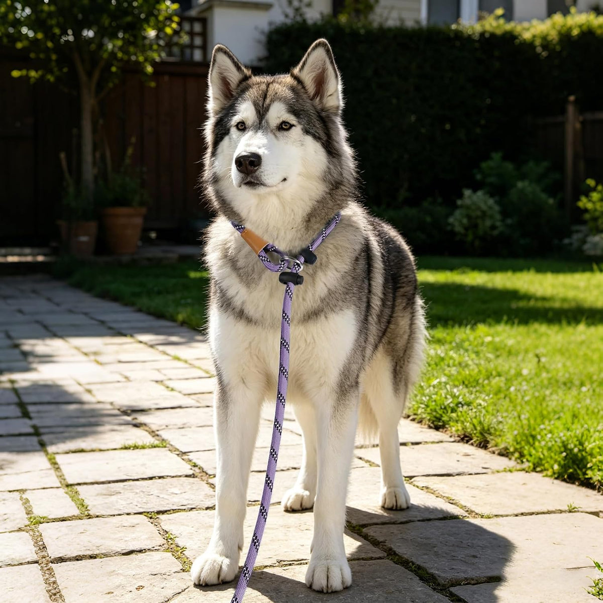 Slip Lead Dog Leash Reflective Training Durable Braided Rope Leashes – Essentials for Dogs - Light Purple / 1PC Large 1/2in x 6ft - image 4