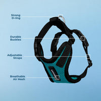 Voyager Step-in Lock Dog Harness, Pink - Harness (Turquoise/Black Trim) / XL (Chest: 23 - 28") - image 4