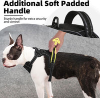 PUPTECK No Pull Halloween Dog Harness for Large - Black / Large / Harness Only - image 2