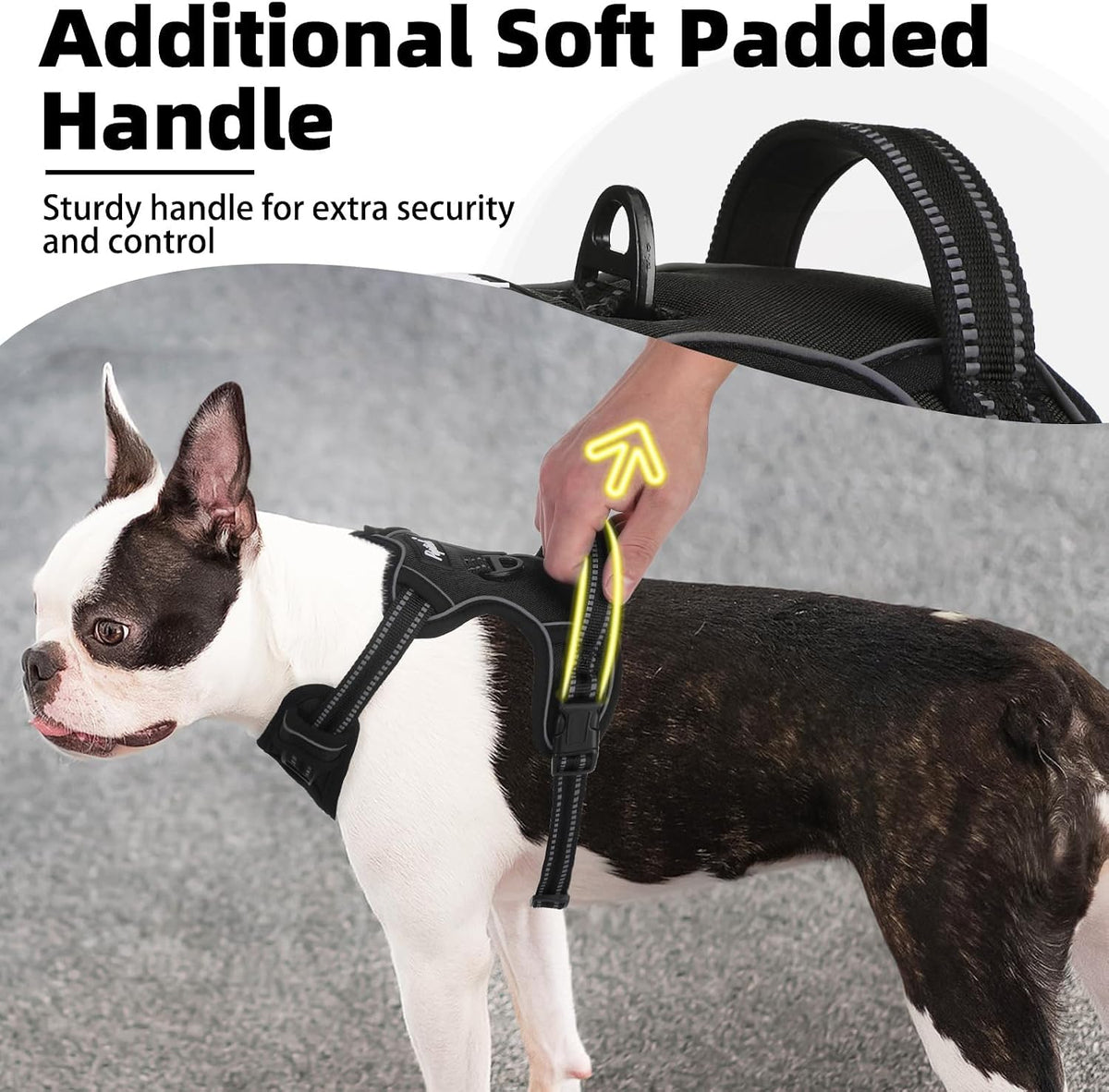 PUPTECK No Pull Halloween Dog Harness for Large - Black / Large / Harness Only - image 2