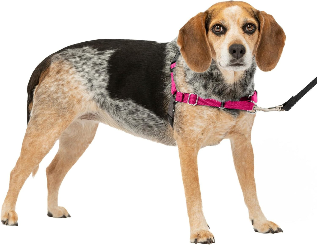 PetSafe Easy Walk Harness, No Pull Dog Harness, Royal Blue - Raspberry Pink/Grey / Small/Medium / 1 - image 2