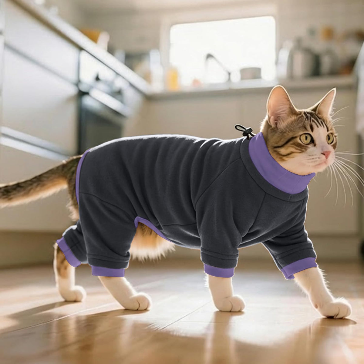 Sticky Hair Cat Clothes, Prevent Loss Pajamas - Medium / Black - image 3