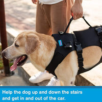 Dog Lift Harness, Rehabilitation Lifts Vest for Dogs, Support & Recovery Sling, Adjustable Breathable Lifting Straps for Old, Joint Injuries, Arthritis, Paralysis Dogs Walk (M, Black)