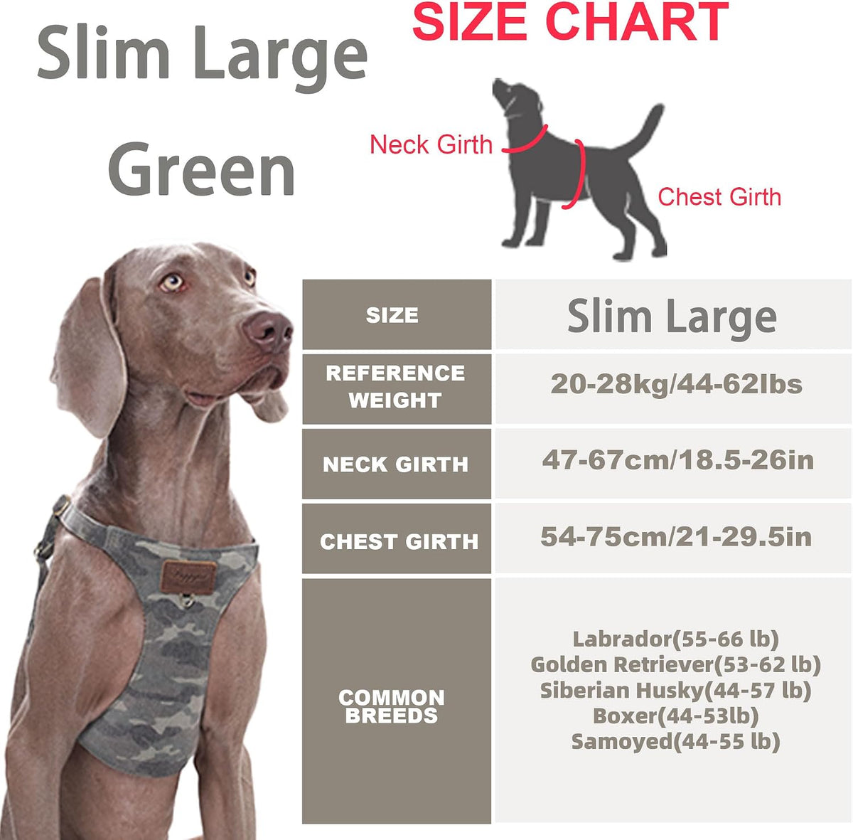 Puppytie XS Dog Harness and Leash Set, Denim Brown, XS – Essentials for Dogs - Slim Large-Green / L - image 3