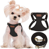 Puppytie Small Dog Harness and Leash Set, Pink, S – Essentials for Dogs - black / XXS(2.2-6lb）
