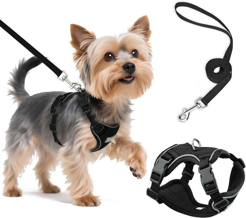 Small Dog Harness and Leash Set, Adjustable Small Sized Pet Vest – Essentials for Dogs - Black / X-Small
