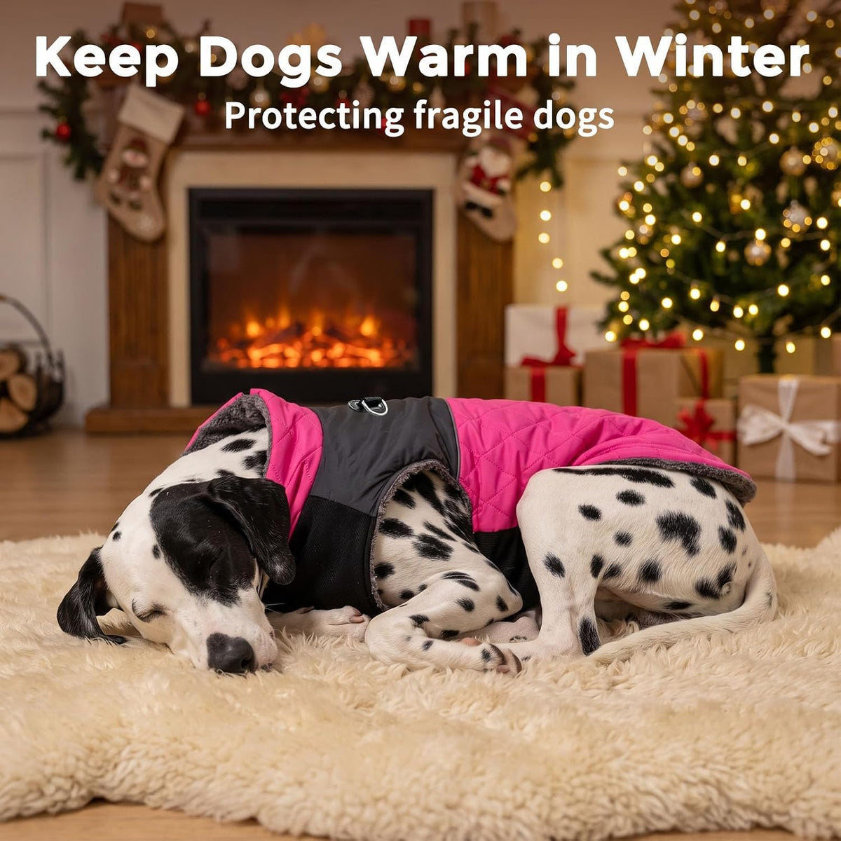 Winter Dog Coats for Small Dogs, Puppy Jacket with Harness - Pink(Standard) / Small - image 3
