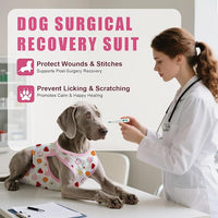 Recovery Suit for Dogs After Surgery, Professional Dog Surgical Suit for Female Spay, Male Neuter, E-Collar & Cone Alternative Dog Onesie for Abdominal Wounds Skin Disease, Fruit, M