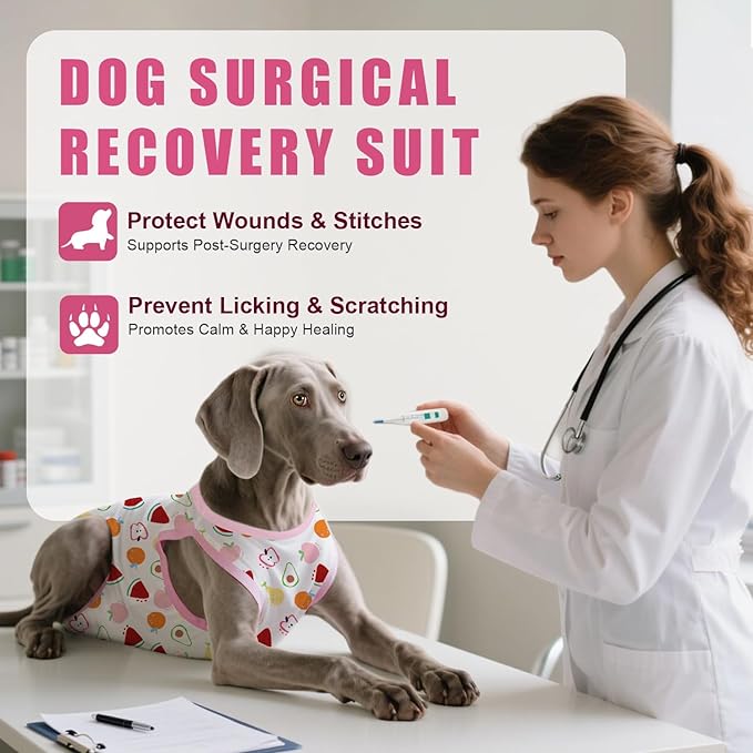 Recovery Suit for Dogs After Surgery, Professional Dog Surgical Suit for Female Spay, Male Neuter, E-Collar & Cone Alternative Dog Onesie for Abdominal Wounds Skin Disease, Fruit, M