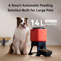 Automatic Dog Feeder for Large Dogs, Remote Feeding - Red with WiFi - image 2