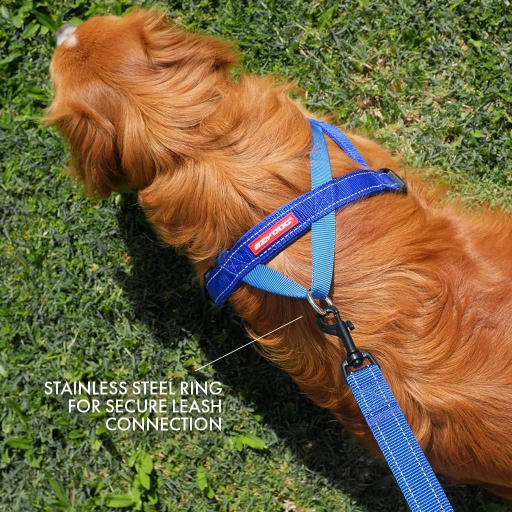 EzyDog Quick Fit Dog Harness, Soft Neoprene Padding - Large / Purple - image 4