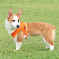 FEimaX Dog Harness and Leash Set for Walking - Orange / X-Large - image 2