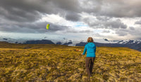 Prism Kite Technology Synapse Dual-line Parafoil Kite - image 3