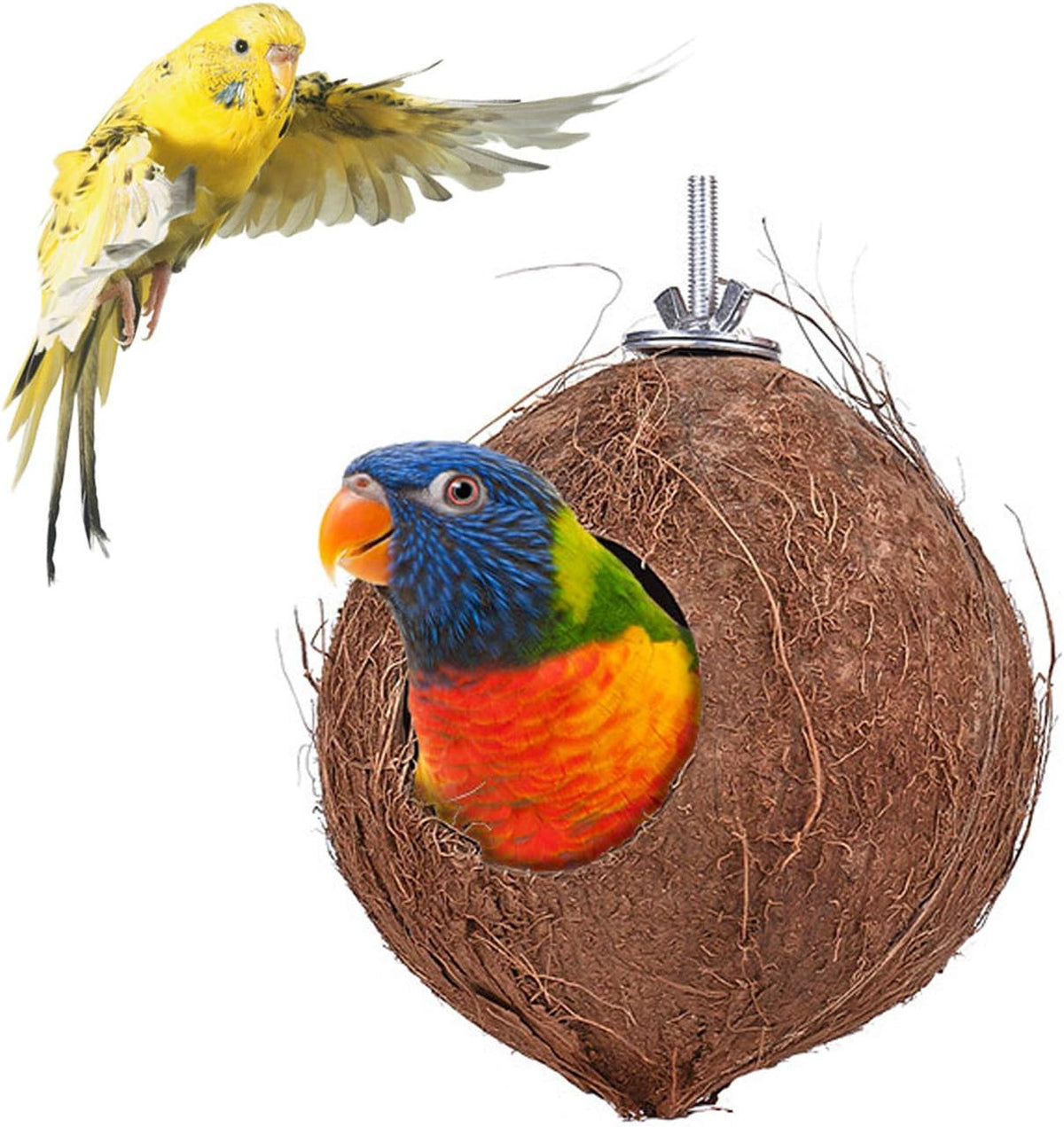 YJJKJ Pet Bird Natural Coconut Shell Bird House Parakeet Budgie - Diameter:5.1" - image 2