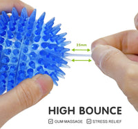 Squeaky Balls for Pet Small Puppy - Small Set of 3 / Multi - image 3