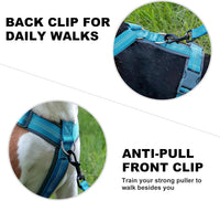 Plutus Pet No Pull Dog Harness - L / Cyan - image 4