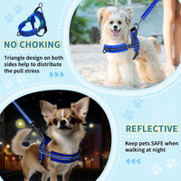 Lukovee Small Dog Harness and Leash Set, No Pull Soft Padded, XS - Blue / S ( Chest 17.5'' ~ 22'') - image 3