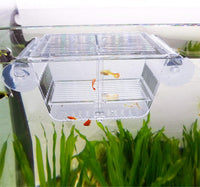 capetsma Fish Breeding Box - S