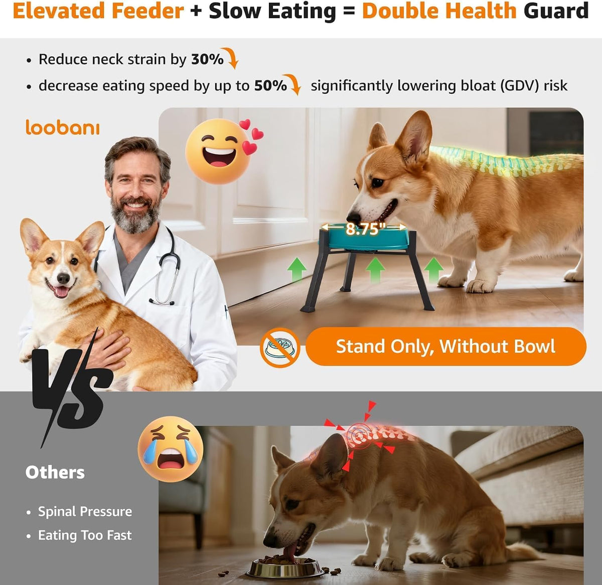 LOOBANI Double Dog Bowl Stand Adjustable 5.9"-8.7" Width for Seniors - Blue / Medium (Fits 5.9"-8.7" Bowls, 1 Pack) - image 3